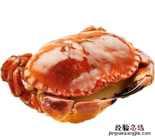 清蒸面包蟹蒸多少分钟