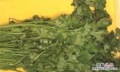 香菜叶发黑能不能吃，香菜冷冻后化开发黑能吃