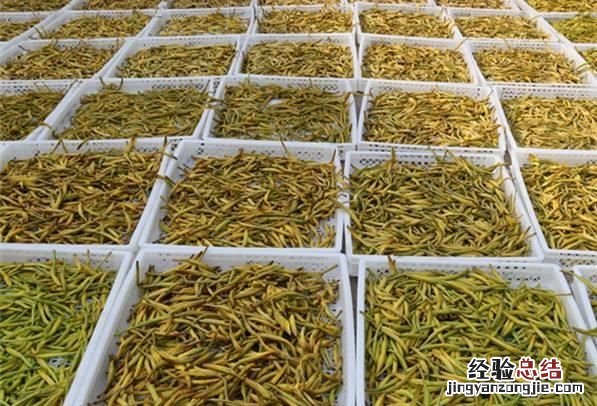 通常我们吃的干黄花菜是新鲜的吗 新鲜黄花菜是怎么弄干的