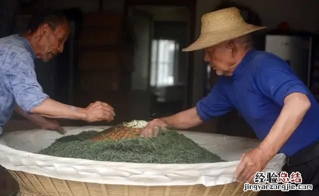 手工绿茶制作方法大全 手工绿茶制作流程怎样