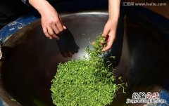 手工绿茶制作方法大全 手工绿茶制作流程怎样