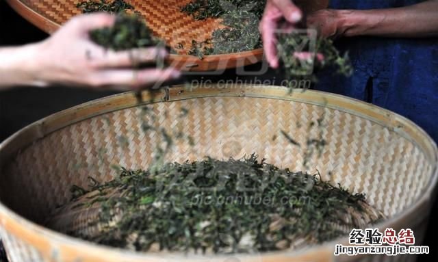 手工绿茶制作方法大全 手工绿茶制作流程怎样