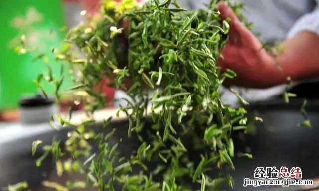 手工绿茶制作方法大全 手工绿茶制作流程怎样
