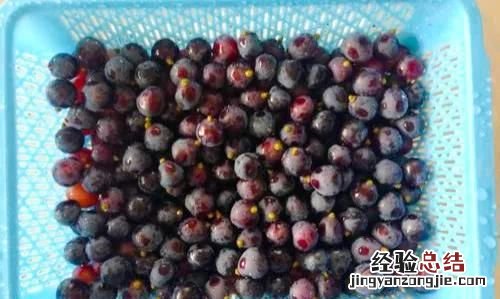 怎样自制葡萄酒能长期保存 怎样自制葡萄酒