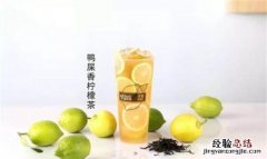 鸭屎香茶叶哪个品牌好，鸭屎香柠檬茶真的有鸭屎