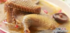 鸽子汤怎么做好吃又有营养，鸽子汤的营养在汤里还是肉里