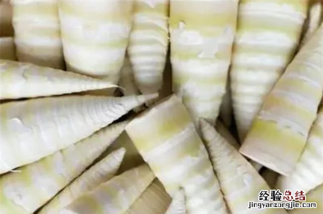 竹笋哪类人不能吃