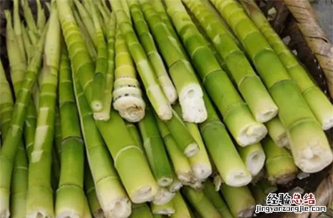 竹笋哪类人不能吃