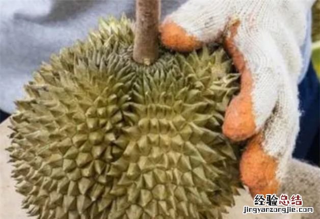 榴莲怎么开壳视频，榴莲怎么开不扎手不伤手