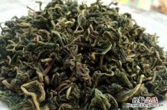 蒲公英怎么制成茶叶保存