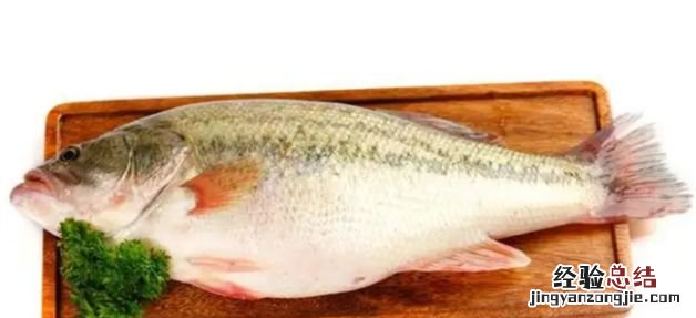 鲈鱼为何要少吃，鲈鱼的功效与作用禁忌