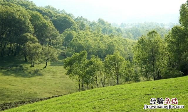 青海哪里旅游好,青海的旅游景点