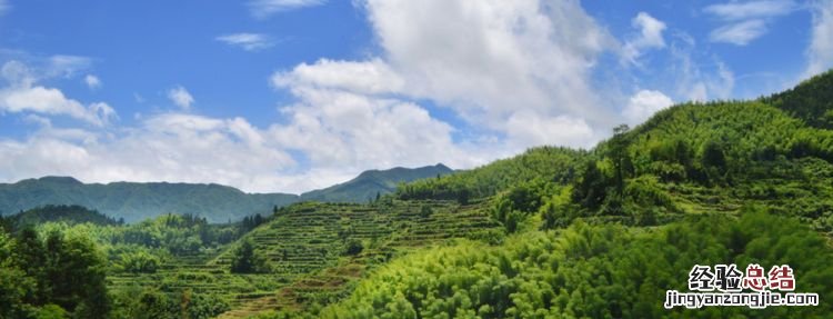 丽水有什么好玩的地方