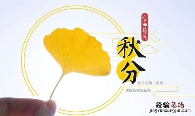 秋分以后吃什么好,秋分过后吃什么最好
