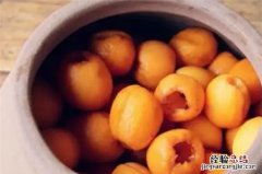 枇杷可以泡高度白酒吗，放了6年的枇杷泡酒还能喝