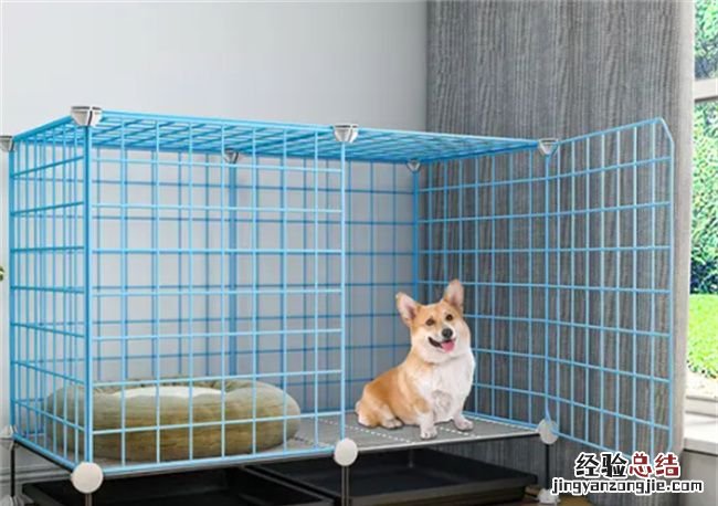 狗可以放笼子里养