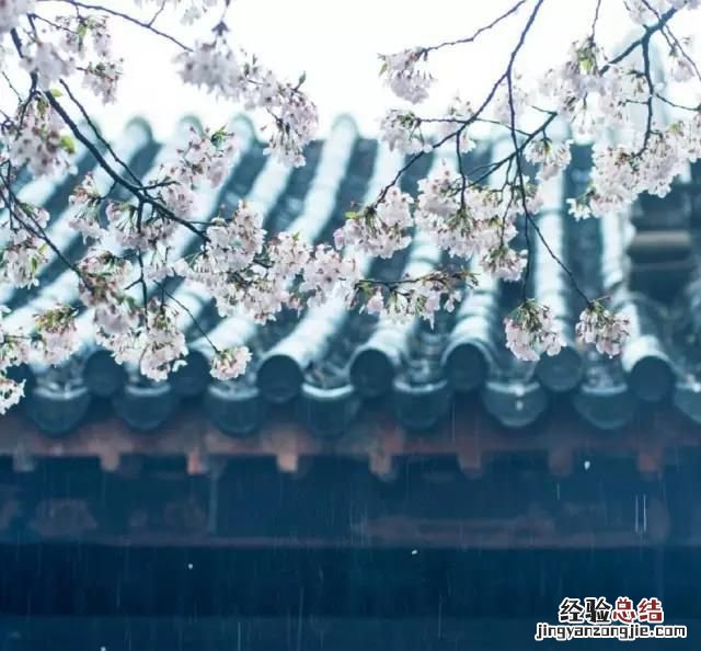 沾衣欲湿杏花雨,吹面不寒杨柳风是什么修辞