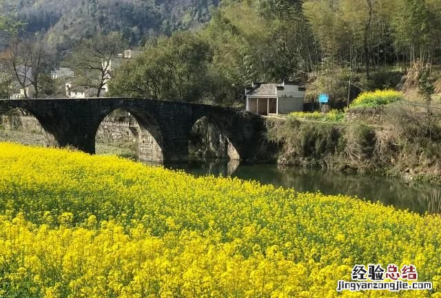 沾衣欲湿杏花雨,吹面不寒杨柳风是什么修辞