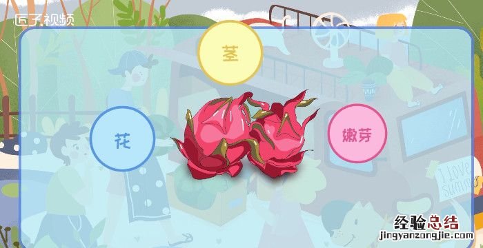 火龙果的营养,火龙果里面含有什么营养成分