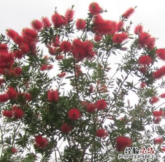 作为教师,有了职业倦怠感该怎么办呢