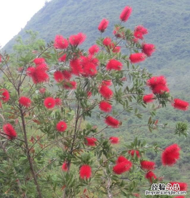 作为教师,有了职业倦怠感该怎么办呢
