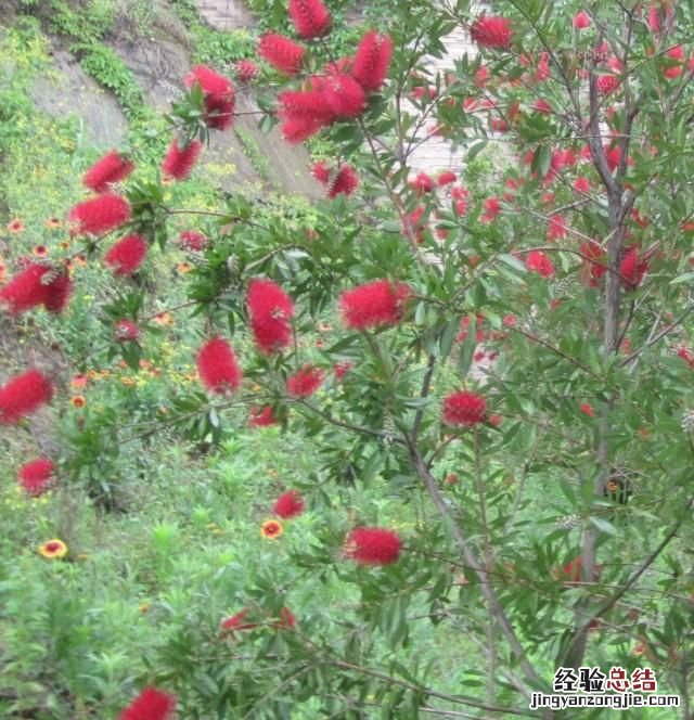 作为教师,有了职业倦怠感该怎么办呢