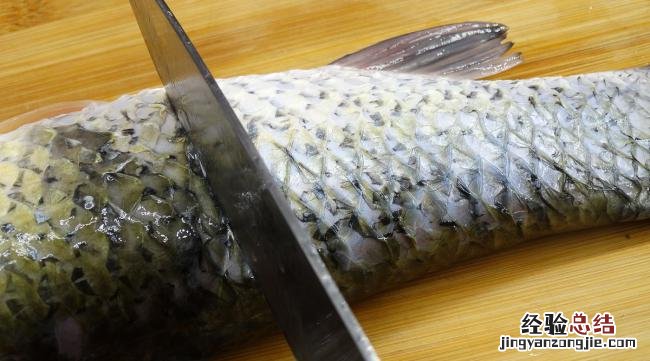做漏鱼用多大的孔