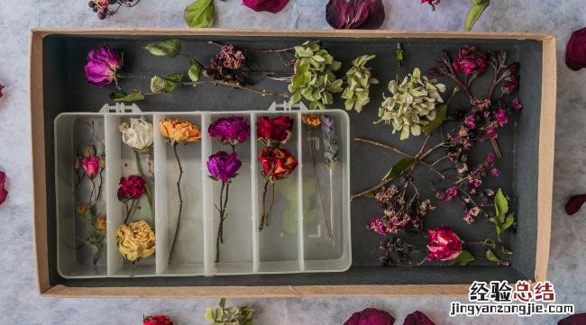 如何自己在家diy干花朵