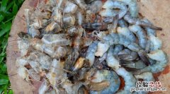 熟皮皮虾怎么保存