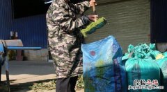 双脊龙蛋饲料可以驯服哪三种龙