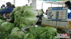 蔬菜价格查询网