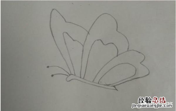 画一个漂亮的蝴蝶怎么画