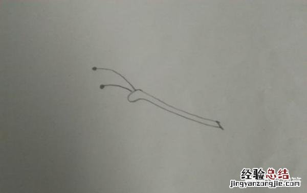 画一个漂亮的蝴蝶怎么画