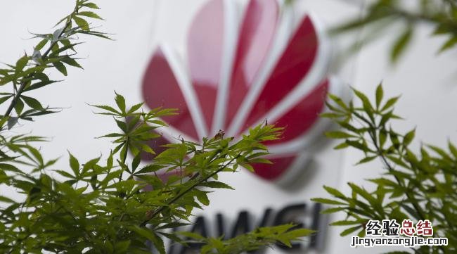 怎样设置华为手机的壁纸