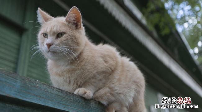 手机怎样设置光猫