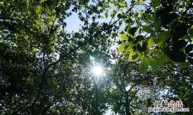 今年怎么这么热2020，以后夏天会一年热过一年