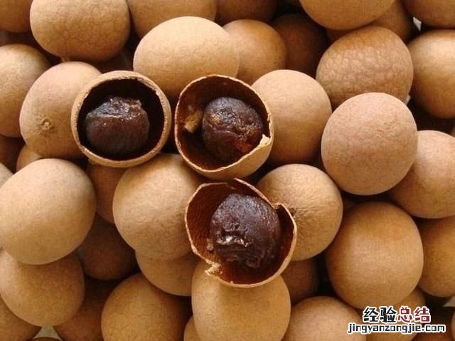 桂圆和龙眼的区别图片对比 桂圆和龙眼有什么区别么