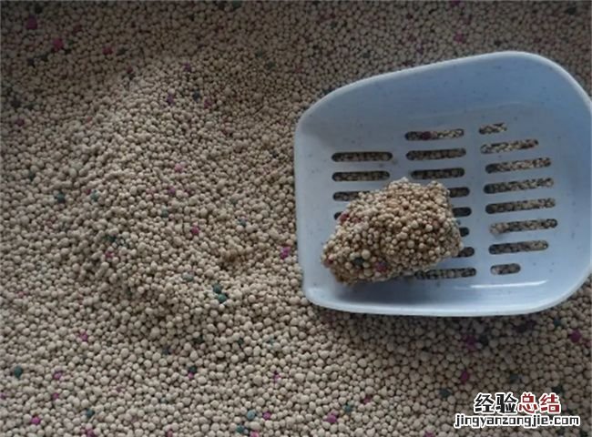 猫砂能不能用来养花，猫砂可以种花吗 膨润土