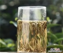 白毫银针冲泡方法，白毫银针可以用保温杯泡