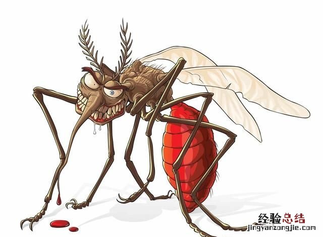 蚊子除了吸血还吃什么 蚊子喜欢什么类型的血