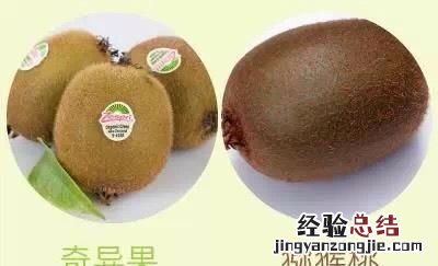 奇异果和猕猴桃怎么区别,新西兰奇异果和中国猕猴桃的区别