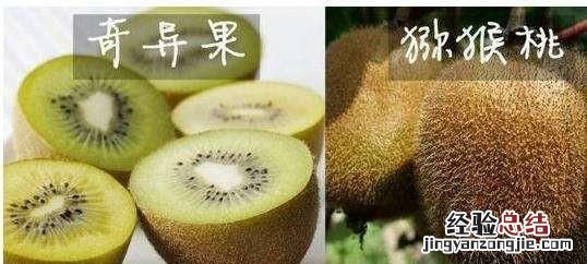 奇异果和猕猴桃怎么区别,新西兰奇异果和中国猕猴桃的区别