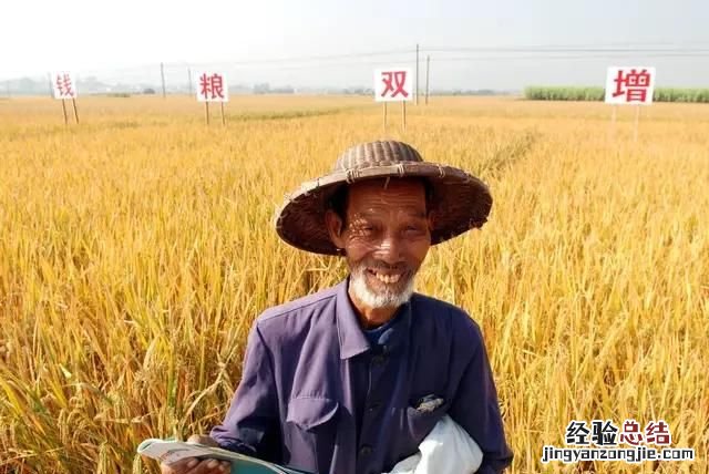 农民怎样才能享受到国家三农政策的红利呢