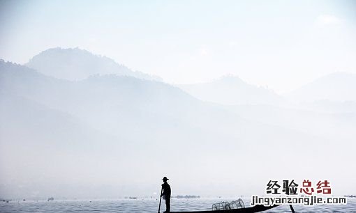 鲷鱼是什么鱼,鲷鱼是海鱼还是淡水鱼