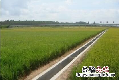 农村土地是永久性的吗,农村土地永久转让多少钱一亩