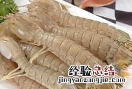 皮皮虾是什么生物 皮皮虾是什么