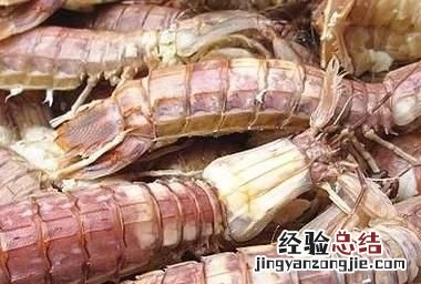 皮皮虾是什么生物 皮皮虾是什么