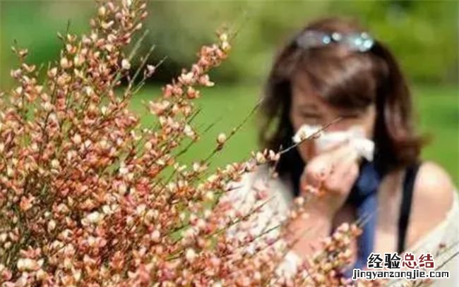 花粉过敏该怎么办呢，戴口罩对于花粉过敏有帮助