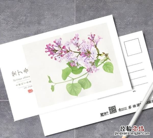 明信片格式