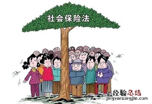 海参一天吃多少为宜